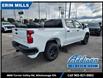 2022 Chevrolet Silverado 1500 Custom Trail Boss (Stk: NG609833) in Mississauga - Image 4 of 21