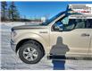 2018 Ford F-150 XLT (Stk: 43125A) in Fairview - Image 5 of 30