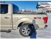 2018 Ford F-150 XLT (Stk: 43125A) in Fairview - Image 9 of 30