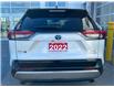 2022 Toyota RAV4 Hybrid XSE (Stk: W5950A) in Cobourg - Image 6 of 27