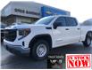 2022 GMC Sierra 1500 Pro (Stk: N22394) in Squamish - Image 1 of 28