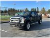 2019 Ford F-350 Limited (Stk: 23F12784A) in Vancouver - Image 9 of 35