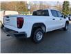 2023 GMC Sierra 1500 Pro (Stk: N23056) in Squamish - Image 11 of 29