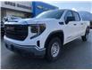 2023 GMC Sierra 1500 Pro (Stk: N23055) in Squamish - Image 3 of 30