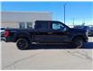 2023 Ford F-150 XLT (Stk: 23F5954) in Mississauga - Image 4 of 30