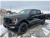 2023 Ford F-150 XLT (Stk: 3Z30) in Timmins - Image 2 of 12
