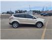 2017 Ford Escape SE (Stk: 12116A) in Sault Ste. Marie - Image 4 of 27