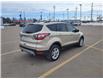 2017 Ford Escape SE (Stk: 12116A) in Sault Ste. Marie - Image 21 of 27