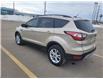 2017 Ford Escape SE (Stk: 12116A) in Sault Ste. Marie - Image 25 of 27