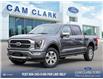 2023 Ford F-150 Platinum (Stk: W1E67771) in Richmond - Image 1 of 27