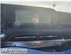 2022 Hyundai Palisade  (Stk: 39848A) in Edmonton - Image 19 of 22