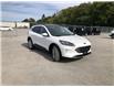 2022 Ford Escape Titanium (Stk: ES22851) in Barrie - Image 24 of 46