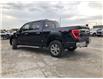 2022 Ford F-150 XLT (Stk: FP22872) in Barrie - Image 11 of 47