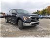 2022 Ford F-150 XLT (Stk: FP22872) in Barrie - Image 24 of 47