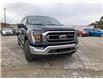 2022 Ford F-150 XLT (Stk: FP22872) in Barrie - Image 25 of 47