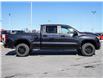 2023 Chevrolet Silverado 1500 LT Trail Boss (Stk: 16533) in Casselman - Image 5 of 23