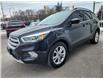 2017 Ford Escape SE (Stk: E78305) in Kingston - Image 4 of 10
