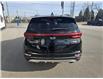 2022 Kia Sportage SX (Stk: Q394) in Sarnia - Image 6 of 24