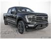 2023 Ford F-150 Lariat (Stk: T3041) in St. Thomas - Image 1 of 25