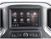 2023 GMC Sierra 1500 Pro (Stk: 160436) in London - Image 22 of 27