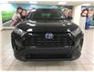 2020 Toyota RAV4 Hybrid LE (Stk: 230250B) in Calgary - Image 10 of 12