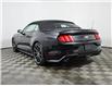 2022 Ford Mustang EcoBoost Premium (Stk: 230626B) in Fredericton - Image 5 of 20