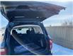 2023 Ford Bronco Sport Big Bend (Stk: 8675) in Roblin - Image 5 of 24