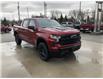 2023 Chevrolet Silverado 1500 LT Trail Boss (Stk: P125) in Blenheim - Image 3 of 26