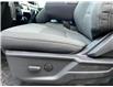 2023 Ford F-150 XLT (Stk: 23F12579) in Vancouver - Image 19 of 30