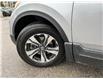 2019 Honda CR-V LX (Stk: 232240P) in Richmond Hill - Image 18 of 22
