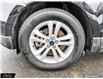 2020 Ford Edge SEL (Stk: P4578) in Smiths Falls - Image 6 of 25