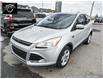 2013 Ford Escape SE (Stk: 22527A) in Ottawa - Image 8 of 24