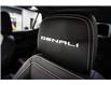 2023 GMC Terrain Denali (Stk: 23-33) in Trail - Image 19 of 27
