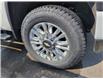 2023 Chevrolet Silverado 3500HD High Country (Stk: P1703759) in Cobourg - Image 11 of 11