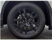 2020 Honda Pilot Black Edition (Stk: 23PL0049A) in Campbell River - Image 31 of 31