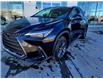 2023 Lexus NX 250 Base (Stk: L23022) in Calgary - Image 2 of 14