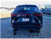 2023 Lexus NX 250 Base (Stk: L23022) in Calgary - Image 4 of 14