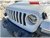 2020 Jeep Wrangler Unlimited Sahara (Stk: DL0099) in London - Image 13 of 32