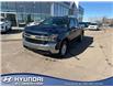 2022 Chevrolet Silverado 1500 LTD LT (Stk: W1119) in Edmonton - Image 2 of 21
