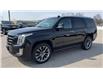 2020 Cadillac Escalade Premium Luxury (Stk: 39722) in Waterloo - Image 3 of 22