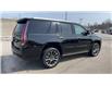2020 Cadillac Escalade Premium Luxury (Stk: 39722) in Waterloo - Image 5 of 22