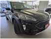 2020 Ford Escape Titanium Hybrid (Stk: TC0701A) in Orleans - Image 2 of 18
