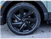 2023 Hyundai Santa Cruz  (Stk: S23255) in Ottawa - Image 17 of 21