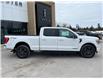 2023 Ford F-150 XLT (Stk: F3552) in Bobcaygeon - Image 3 of 31