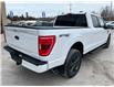 2023 Ford F-150 XLT (Stk: F3552) in Bobcaygeon - Image 4 of 31