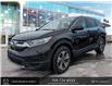 2017 Honda CR-V LX (Stk: N175384A-220) in St. John’s - Image 1 of 24