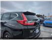 2017 Honda CR-V LX (Stk: N175384A-220) in St. John’s - Image 10 of 24