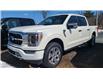 2023 Ford F-150 Platinum (Stk: 023021) in Madoc - Image 1 of 2
