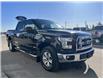2017 Ford F-150 XLT (Stk: 23009A) in Edson - Image 3 of 18