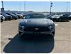 2022 Ford Mustang EcoBoost Premium (Stk: 18394) in Calgary - Image 4 of 24